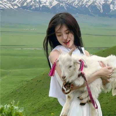 爱在猫咪疗愈时